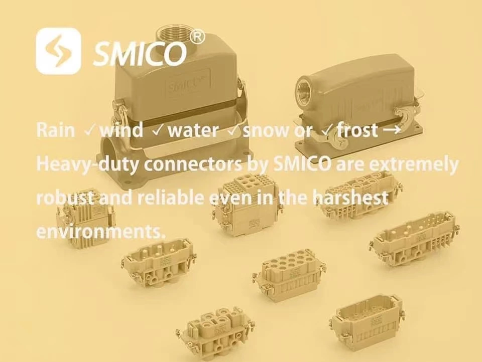 التطور السريع لشركة SMICO لتلبية الطلب في السوق المحلية والأجنبية